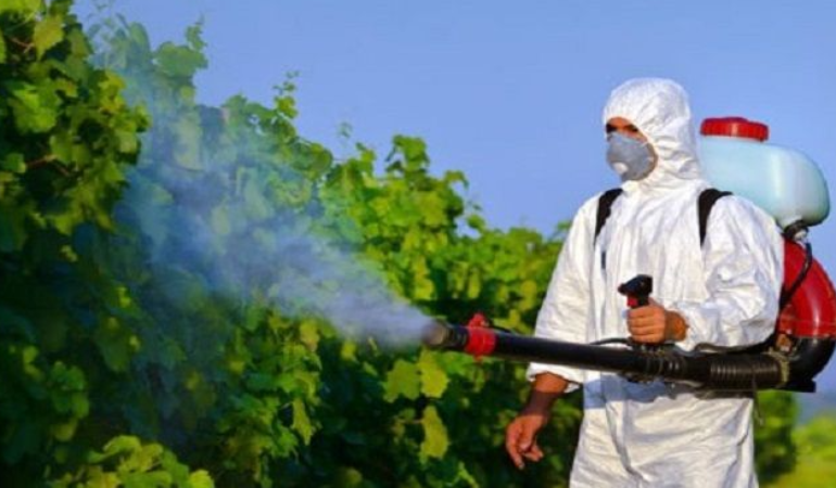 Karasinek ve Larva Mücadelesi