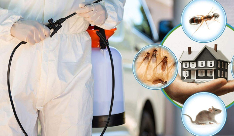 Sürüngen Mücadelesi